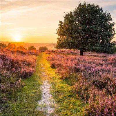 开运·kaiyunapp下载截图